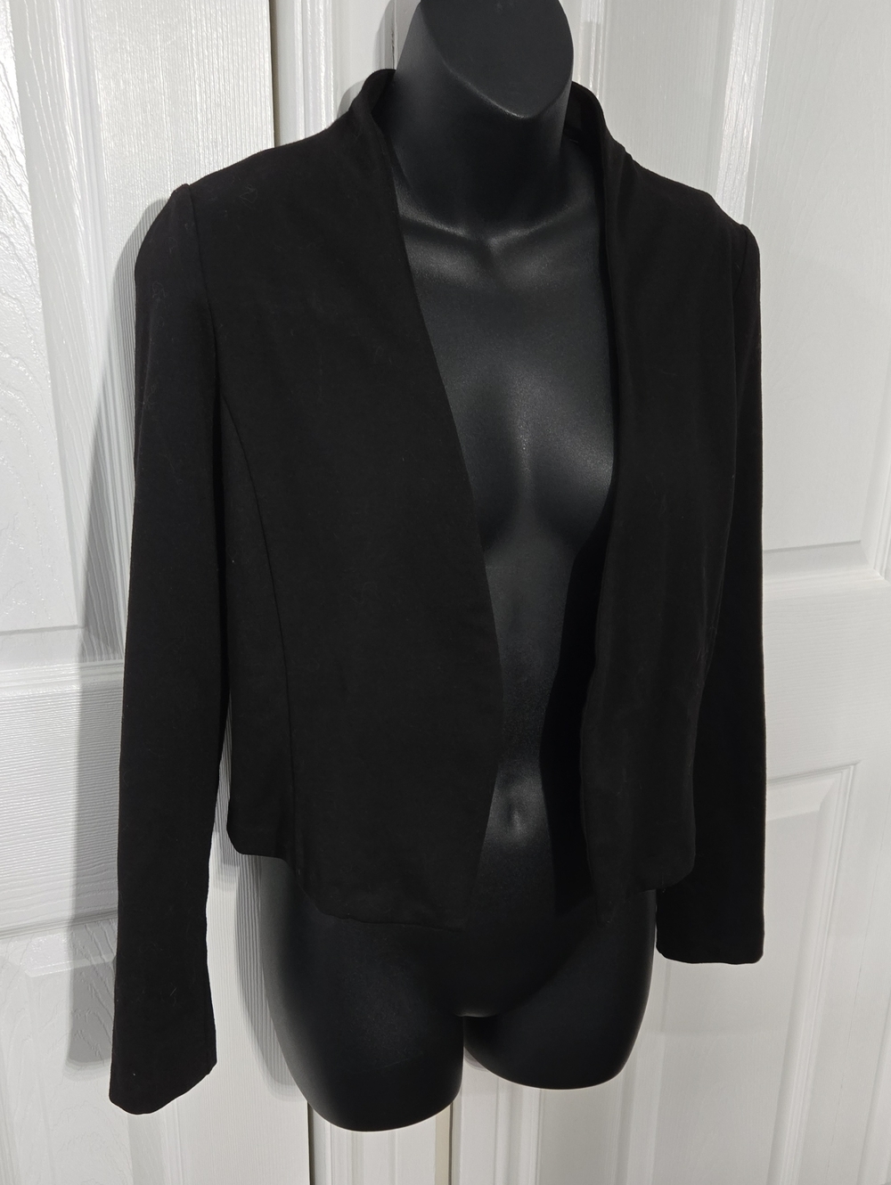 Have Black Cropped Blazer